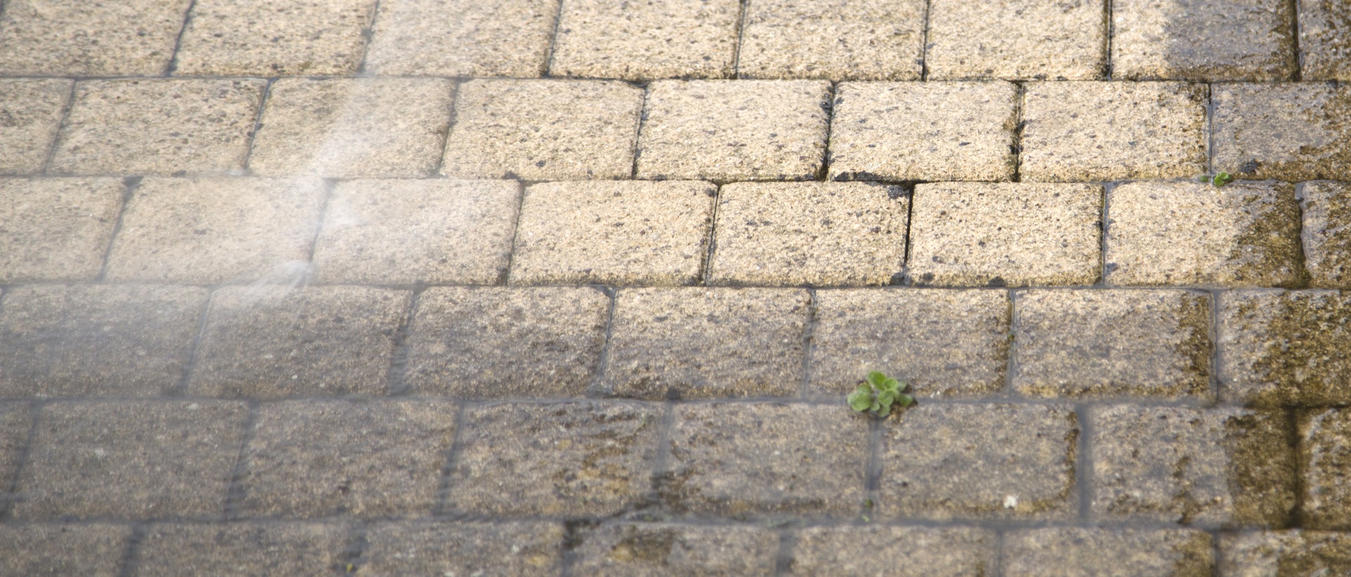 flagging and patios RM20