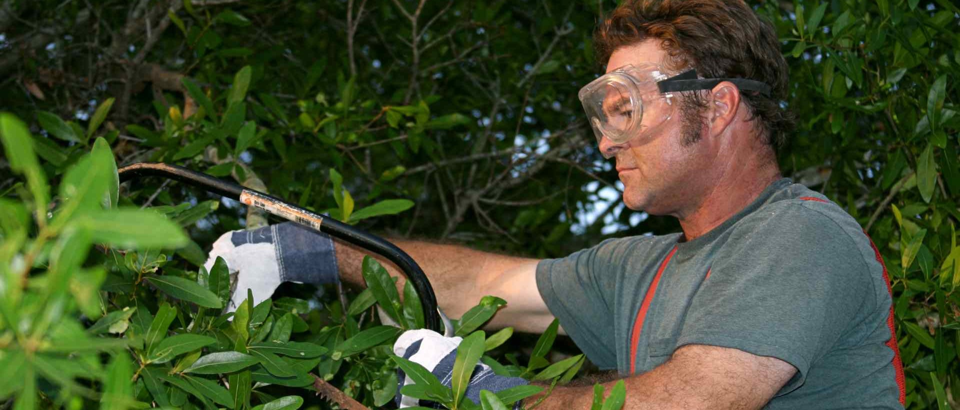 garden clearance RM20